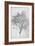 Study of a Lemon Tree, 1899-Frederic Leighton-Framed Giclee Print