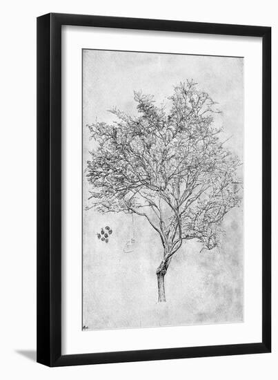 Study of a Lemon Tree, 1899-Frederic Leighton-Framed Giclee Print