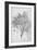 Study of a Lemon Tree, 1899-Frederic Leighton-Framed Giclee Print