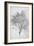 Study of a Lemon Tree, 1899-Frederic Leighton-Framed Giclee Print