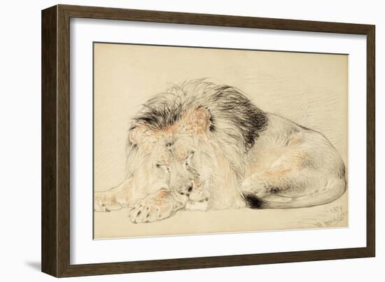 Study of a Lion, 1879-William Huggins-Framed Giclee Print