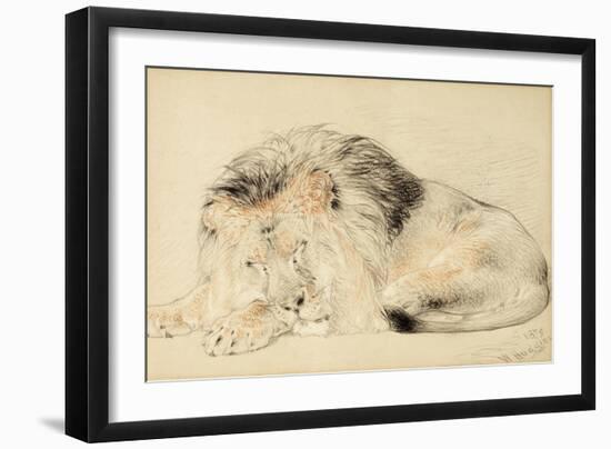 Study of a Lion, 1879-William Huggins-Framed Giclee Print