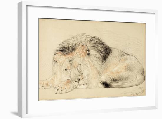 Study of a Lion, 1879-William Huggins-Framed Giclee Print