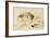 Study of a Lion, 1879-William Huggins-Framed Premium Giclee Print