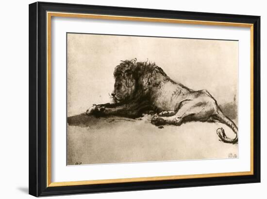 Study of a Lion, 1913-Rembrandt van Rijn-Framed Premium Giclee Print