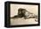 Study of a Lion, 1913-Rembrandt van Rijn-Framed Premier Image Canvas