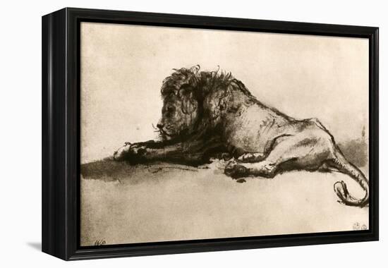 Study of a Lion, 1913-Rembrandt van Rijn-Framed Premier Image Canvas