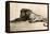 Study of a Lion, 1913-Rembrandt van Rijn-Framed Premier Image Canvas