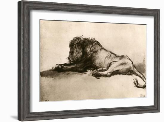 Study of a Lion, 1913-Rembrandt van Rijn-Framed Giclee Print