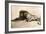 Study of a Lion, 1913-Rembrandt van Rijn-Framed Giclee Print