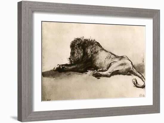 Study of a Lion, 1913-Rembrandt van Rijn-Framed Giclee Print