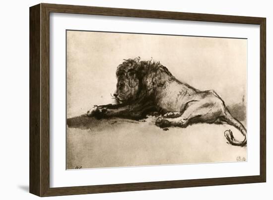 Study of a Lion, 1913-Rembrandt van Rijn-Framed Giclee Print