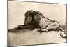 Study of a Lion, 1913-Rembrandt van Rijn-Mounted Giclee Print