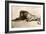 Study of a Lion, 1913-Rembrandt van Rijn-Framed Giclee Print