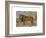 Study of a Lion-Rosa Bonheur-Framed Premium Giclee Print