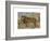 Study of a Lion-Rosa Bonheur-Framed Premium Giclee Print