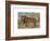 Study of a Lion-Rosa Bonheur-Framed Premium Giclee Print