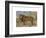 Study of a Lion-Rosa Bonheur-Framed Premium Giclee Print