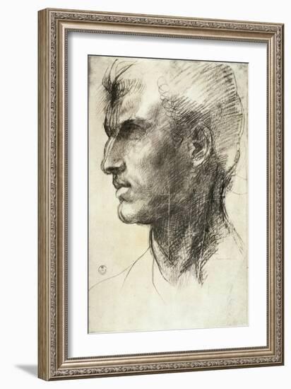 Study of a Male Head-Andrea del Sarto-Framed Giclee Print