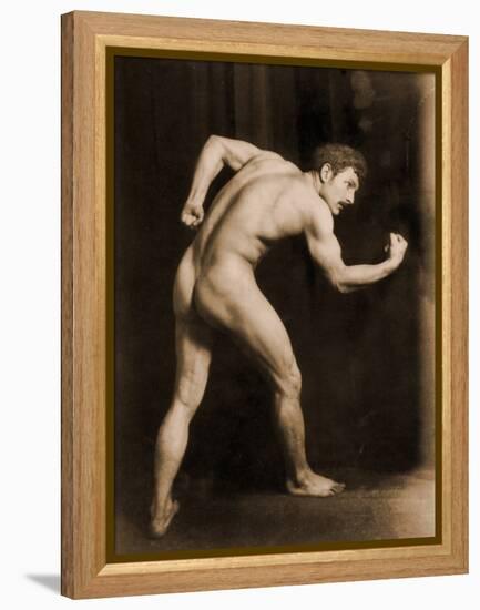 Study of a Male Nude, C.1900-Wilhelm Von Gloeden-Framed Premier Image Canvas