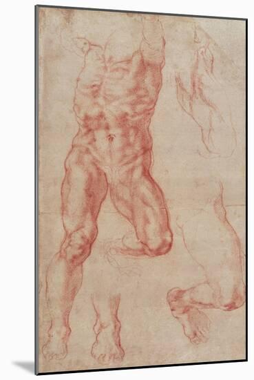 Study of a Male Nude, Stretching Upwards-Michelangelo Buonarroti-Mounted Giclee Print