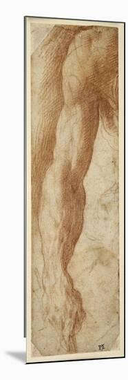 Study of a Man's Right Arm, His Hand Holding a Stick-Parmigianino-Mounted Giclee Print