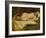 Study of a Nude Female Sleeping-William Etty-Framed Giclee Print