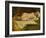 Study of a Nude Female Sleeping-William Etty-Framed Giclee Print