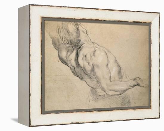 Study of a Nude Male Torso-Peter Paul Rubens-Framed Premier Image Canvas