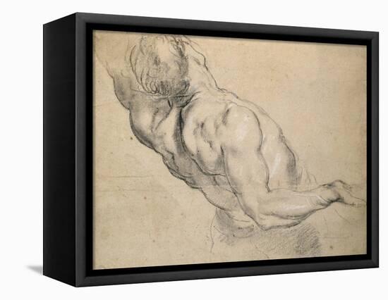 Study of a Nude Male Torso-Peter Paul Rubens-Framed Premier Image Canvas