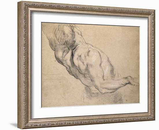 Study of a Nude Male Torso-Peter Paul Rubens-Framed Giclee Print