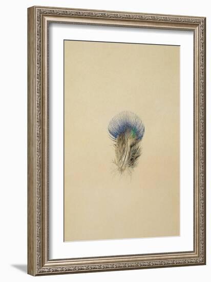 Study of a Peacock Feather, 1873-John Ruskin-Framed Giclee Print