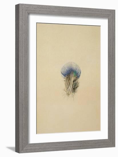 Study of a Peacock Feather, 1873-John Ruskin-Framed Giclee Print