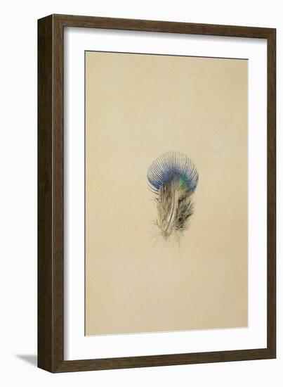 Study of a Peacock Feather, 1873-John Ruskin-Framed Giclee Print