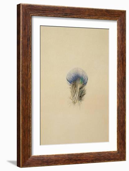 Study of a Peacock Feather, 1873-John Ruskin-Framed Giclee Print