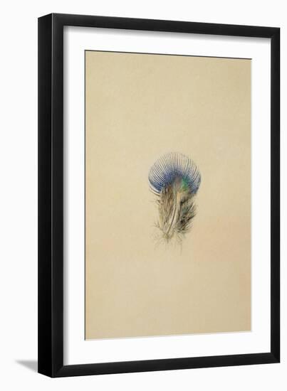 Study of a Peacock Feather, 1873-John Ruskin-Framed Giclee Print