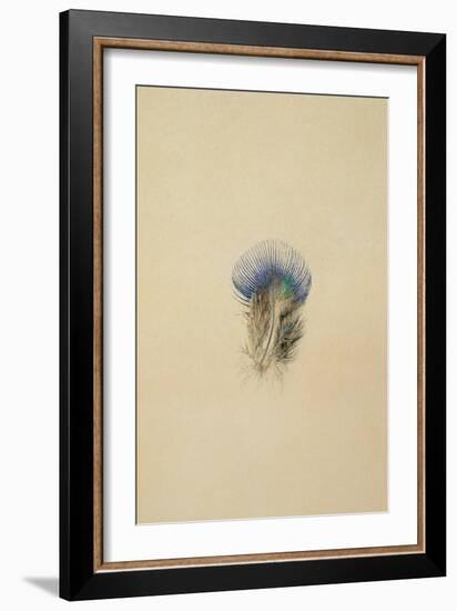 Study of a Peacock Feather, 1873-John Ruskin-Framed Giclee Print