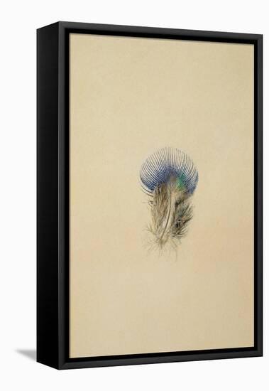 Study of a Peacock Feather, 1873-John Ruskin-Framed Premier Image Canvas