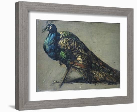 Study of a Peacock for 'The Judgement of Paris'-William Etty-Framed Giclee Print