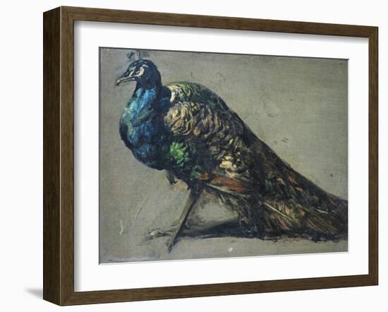 Study of a Peacock for 'The Judgement of Paris'-William Etty-Framed Giclee Print