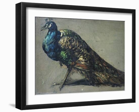 Study of a Peacock for 'The Judgement of Paris'-William Etty-Framed Giclee Print