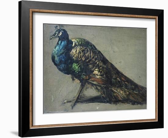 Study of a Peacock for 'The Judgement of Paris'-William Etty-Framed Giclee Print