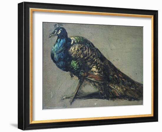 Study of a Peacock for 'The Judgement of Paris'-William Etty-Framed Giclee Print