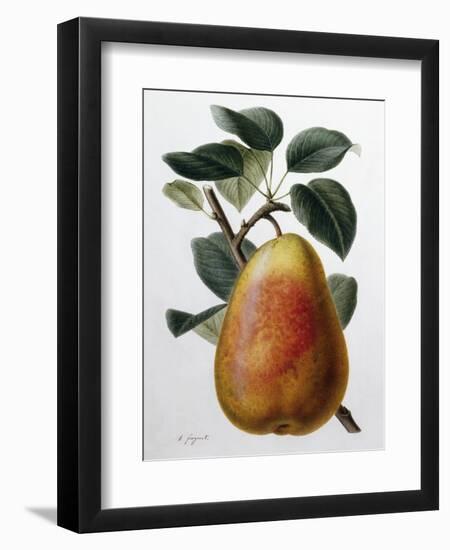 Study of a Pear-Adrienne Faguet-Framed Giclee Print