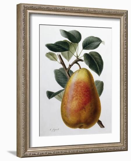 Study of a Pear-Adrienne Faguet-Framed Giclee Print