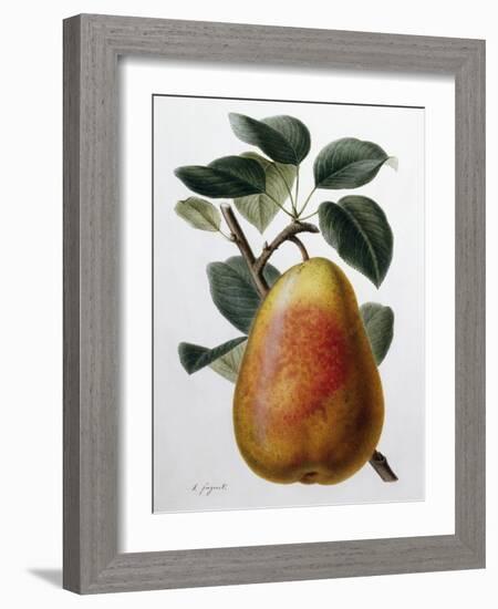 Study of a Pear-Adrienne Faguet-Framed Giclee Print