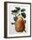 Study of a Pear-Adrienne Faguet-Framed Giclee Print