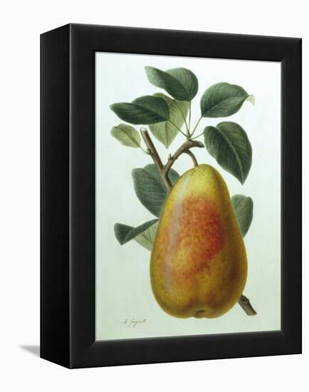 Study of a Pear-Adrienne Faguet-Framed Premier Image Canvas