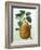 Study of a Pear-Adrienne Faguet-Framed Giclee Print