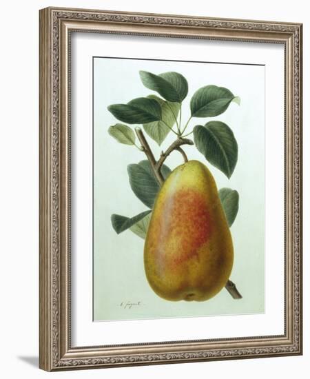 Study of a Pear-Adrienne Faguet-Framed Giclee Print